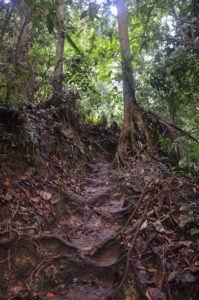 IpohSecrets Bukit Kledang